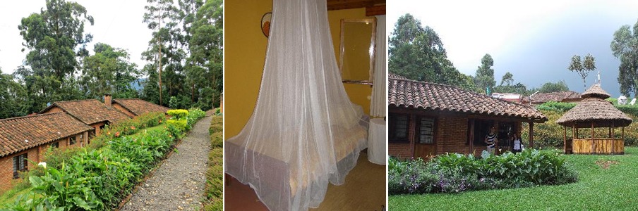 Gisakura-Guest-House