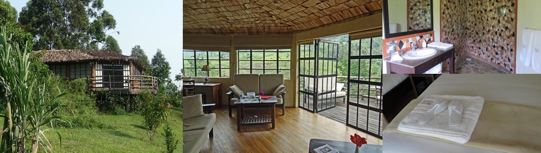 Mahogany springs camp