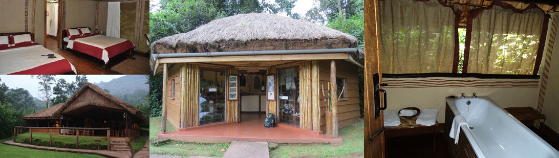 Sanctuary Gorilla Forest Camp