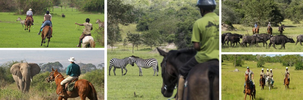 horseback-muhingo-lodge