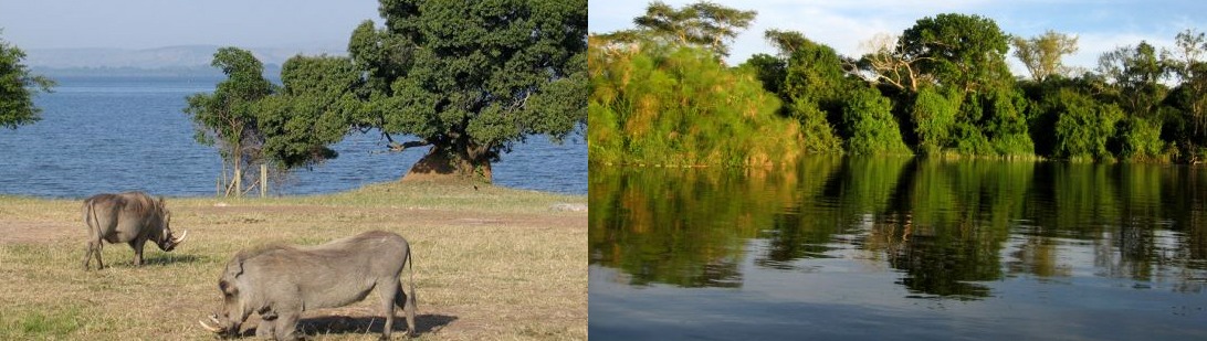 lake mburo