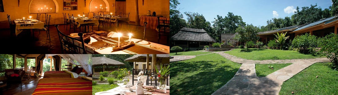 primate-lodge-kibale