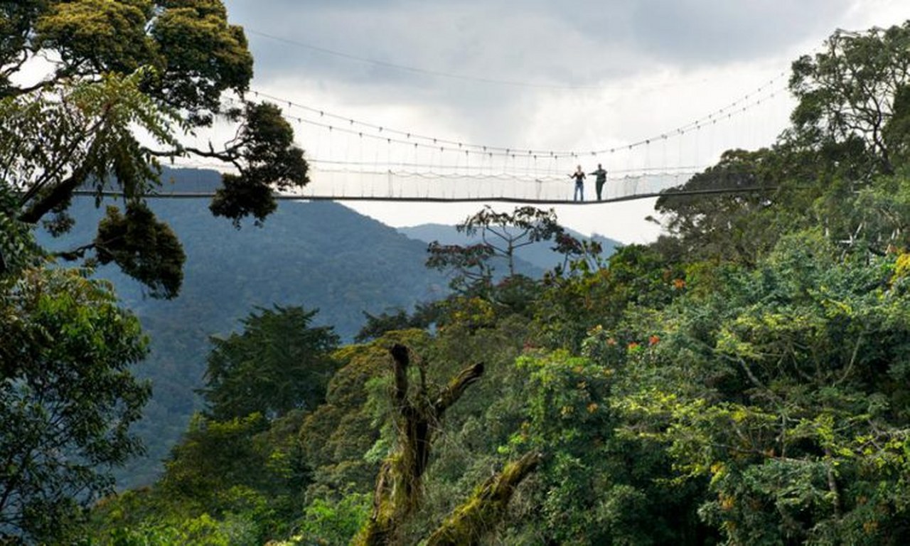 Nyungwe Forest Park Attractions