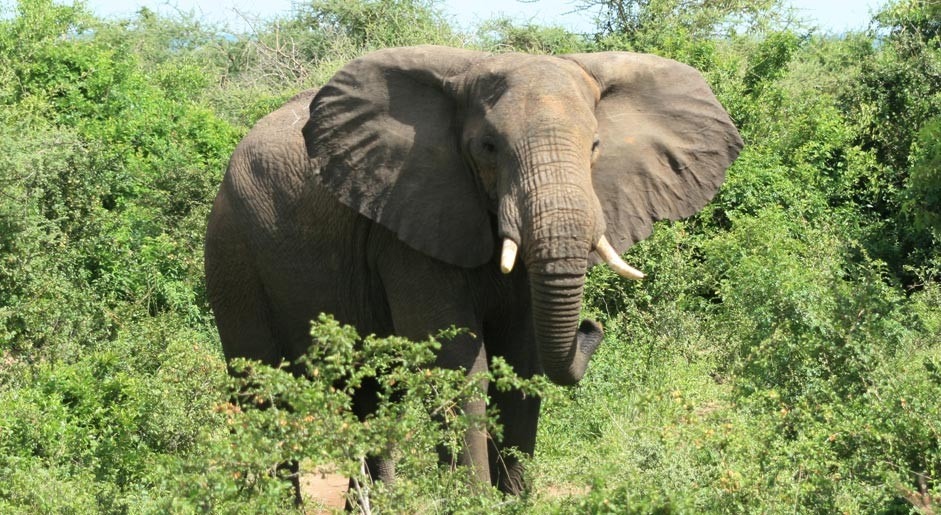 Tourist Attractions in Rwanda