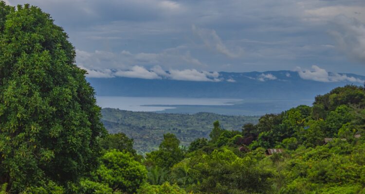 3 Days Rwanda Gorilla Trekking Safari - Gorilla Trekking In Volcanoes & Lake Kivu Rwanda Tour
