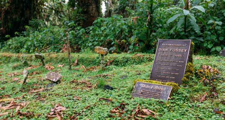 4 Days Safari In Rwanda - Gorilla Trekking, Twin Lakes Tour & Dian Fossey Tomb Hike