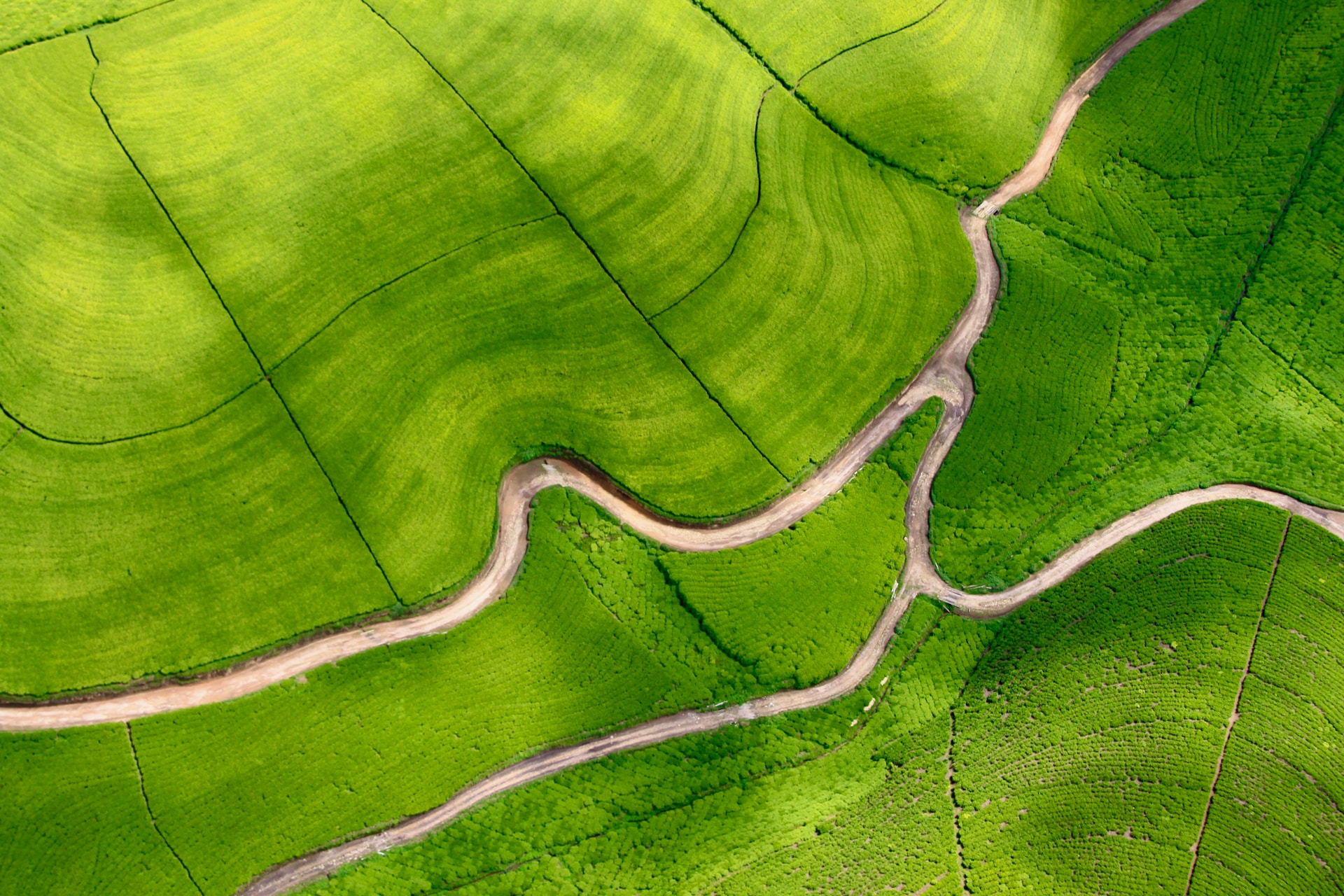 Rwanda Travel Guide, Advisory, Destinations & Travel Tips