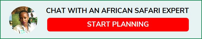 chat to an Expert image