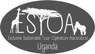Estoa Logo