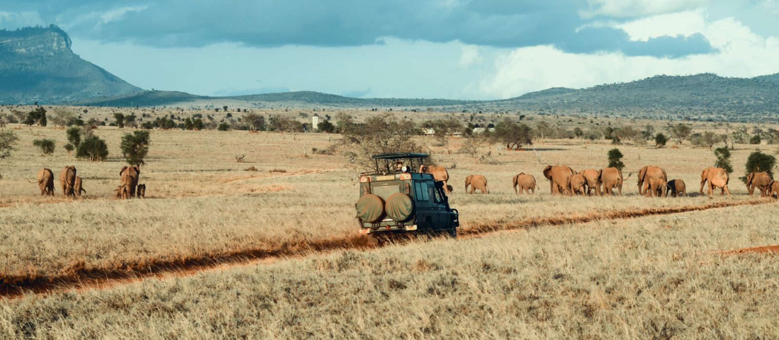 queen-elizabeth-game-drive