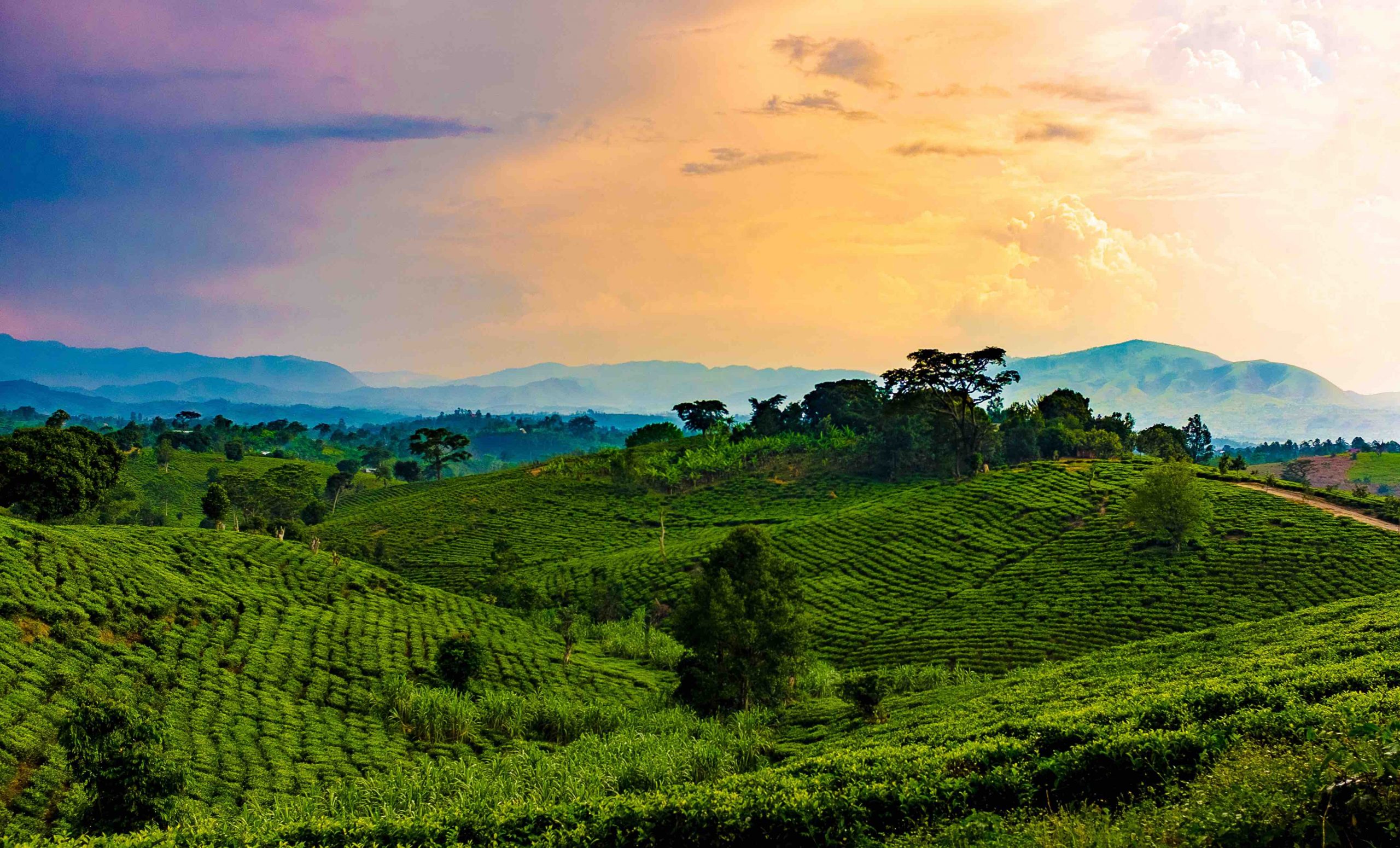 Facts about Rwanda