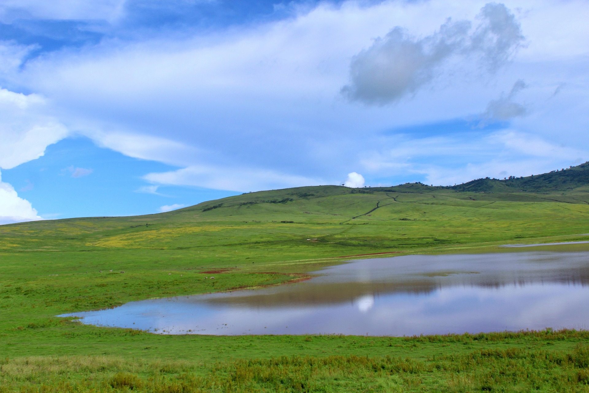 Ngorongoro crater