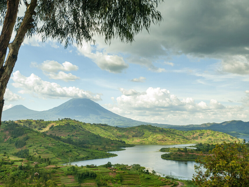 Uganda Rwanda Kenya safaris