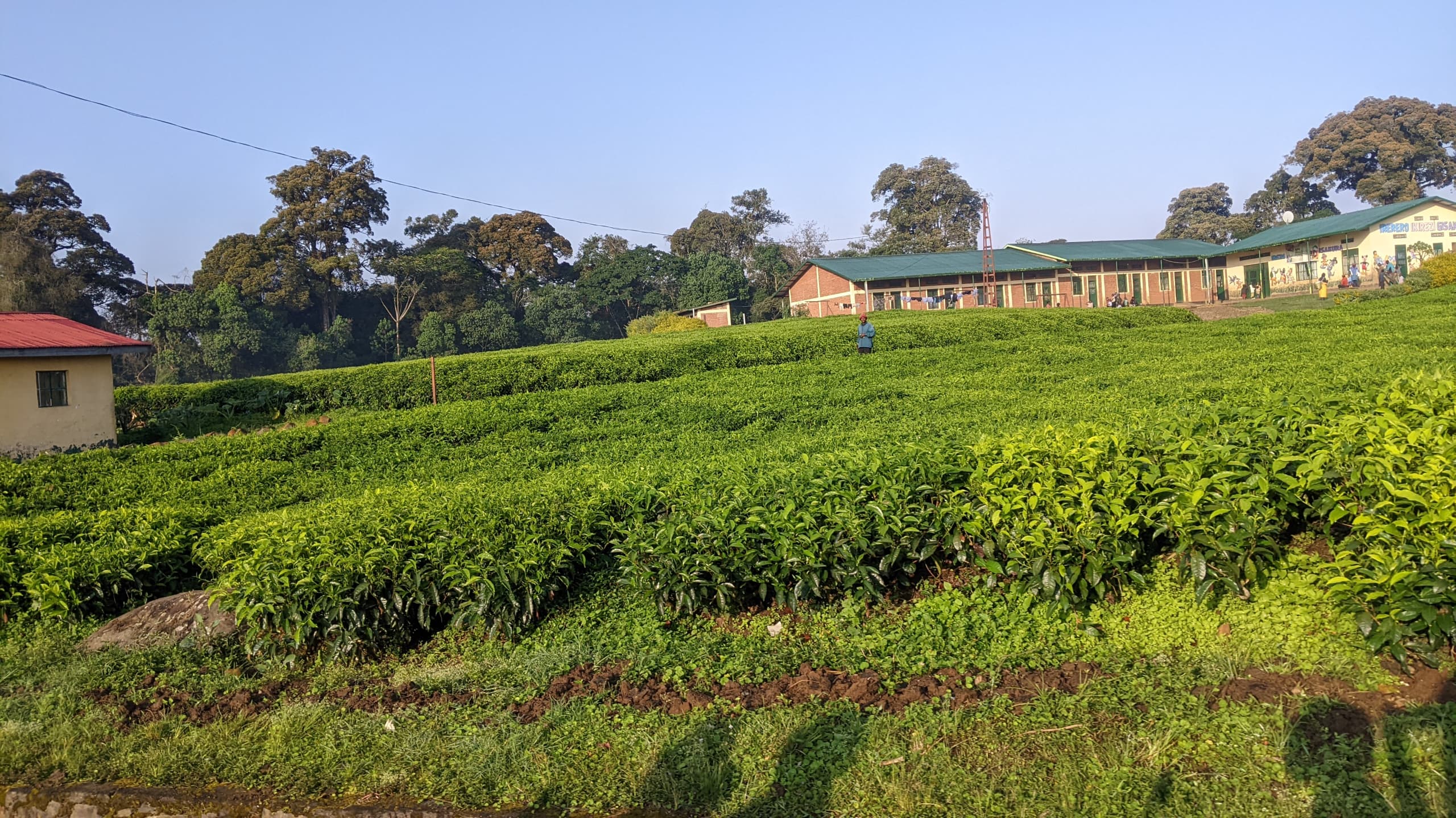 Budget Lodges in rwanda